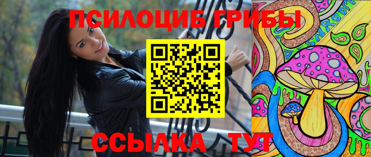 Псилоцибиновые грибы GOLDEN TEACHER  Галлюциногенные грибы Cubensis  Белебей  Вход с VPN 