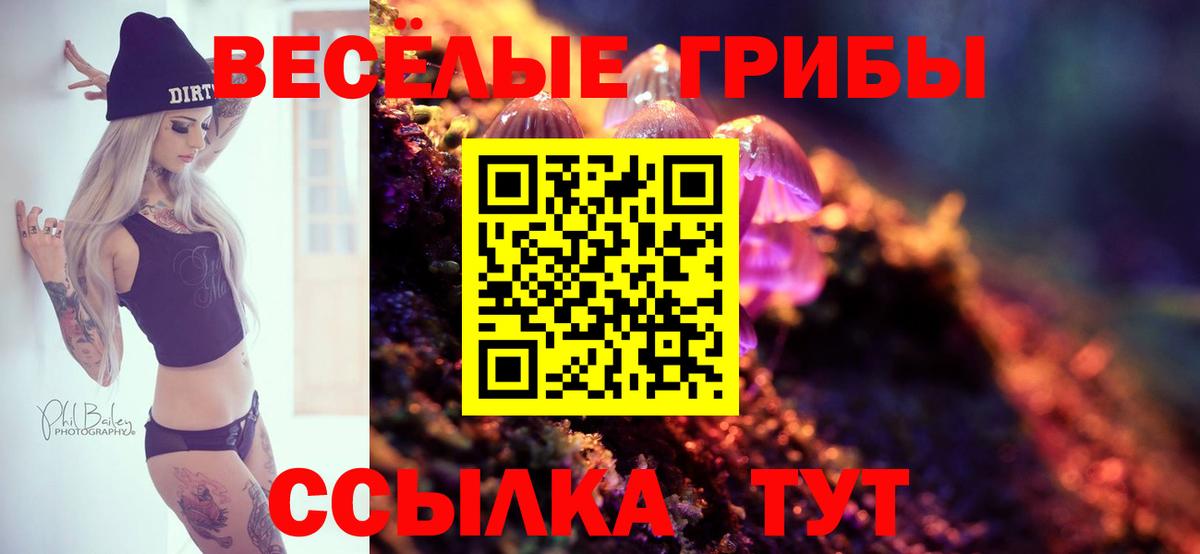 Галлюциногенные грибы Psilocybine cubensis Белебей
